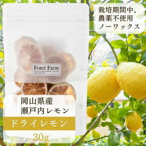 hC 30g RY L@͔| L@ ͔|Ԓ _ Y w엿 F Y Y e NHi  g@eB[ َq  W[X foretfarm 1000~|bL