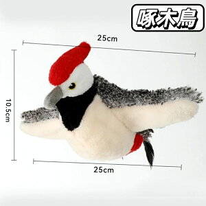 y2025Vzsso[h L Lߋ ^ L炵 XY t H΂ USB[d L̂  lC SNSŘb ^s XgX 􂦂 