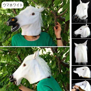 ñ}XN 蕨 }XN nEB n A  RXv |     }XN  n}XN Ȃ肫}XN N Aj} w@ v[g 蕨 ʔ E