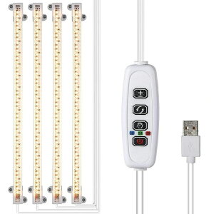 A琬Cg LED ACg LEDd z LEDA琬Cg A ϗtA琬CgtXyNg X^h  Ɩ  ^C}[t 10iK  ͔|C