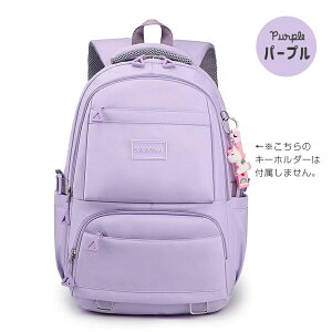 bN LbYbN ̎q w w  e bNTbN ΂ iC h ݃J[  |Pbg bV mp A4 ʏm o s Cws  o