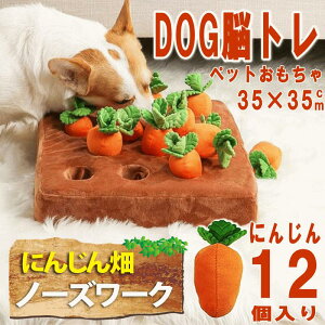 m[Y[N ɂ񂶂 ̂ ybg ɂ񂶂  lQ ybgpi  ɂ񂶂 m[Y[N}bg P pi ko g[jO  mߋ m