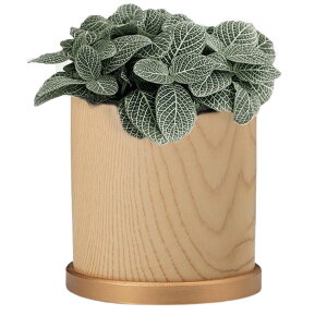 Aؔ  v^[  󂯎M ϗtA  A