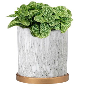 �A�ؔ� ������� �v�����^�[ ���� �󂯎M �ϗt�A�� �� �����A��