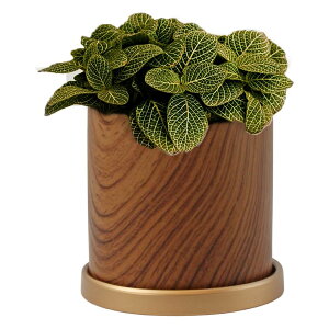 Aؔ  v^[  󂯎M ϗtA  A