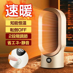 2025ŐV Z~bNq[^[ ^  g q[^[ t@q[^[ dCq[^[  ȃGl 1bg 啗 800W g[ h΍ É g[ Eߏ