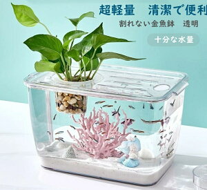 ����Ȃ������� �v���X�`�b�N�� �A�N�A���E�� ���_�J ������ ���y�� ���� �{�[�� �ԕr ������ �\���Ȑ��ʁ@�ϗt�A��