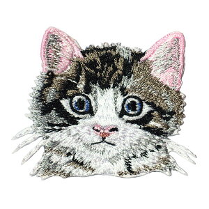 y[֑Ήzby ACby L^ hJ pb` 13 ~jTCY TCY CN nhCh ct ۈ牀 LbY XbN ObY IWi TVc jb