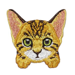 y[֑ΉzV[by L^ hJ pb` 12 V[EACڒp S |Cg CN nhCh ct ۈ牀 LbY XbN ObY IWi TV