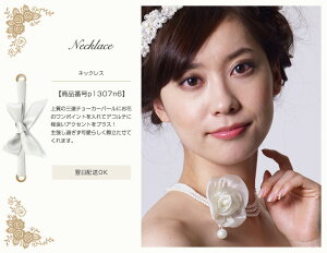 yz\zEGfBOClbNXCp[r[YlbNXCÂ₳r[YlbNXŃfReAWI