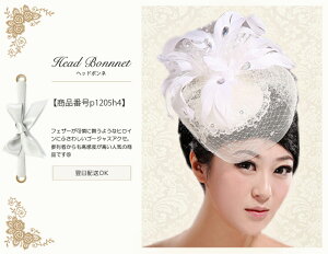 EGfBOCwbhANZCItzCgCwbhANZT[CЂƍۖڗwbhANZŎƂ߁I