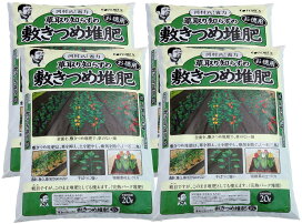 楽天市場 大人気 河村通夫のらくらく園芸シリーズ ｆｏｒｅｘ森産業ガーデンショップ