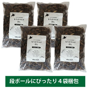 kCY Ebh`bv Ƃ̎Rf ̃}` 20L FOREX }`O Ebh`bv  h K[fjO K[fjOpi | }`O