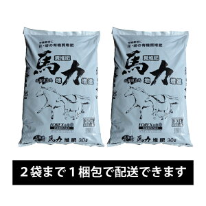 kCY ͔ ԁE̗L@͔ n͔͑ 30L FOREX n͔ yǍ L@͔|  |pi K[fjO K[fjOpi |