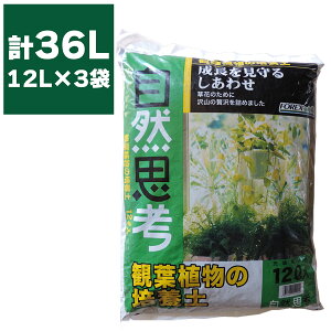 |{y ϗtA̔|{y 12L ×3 FOREX ϗtA y s[gX |py ϗtA̓y ͔ |pi ϗpA y ϗtAp|{y | py ƒ뉀|