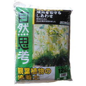 |{y ϗtA̔|{y 12L FOREX ϗtA y s[gX |py ϗtA̓y ͔ |pi ϗpA y ϗtAp|{y | py ƒ뉀|