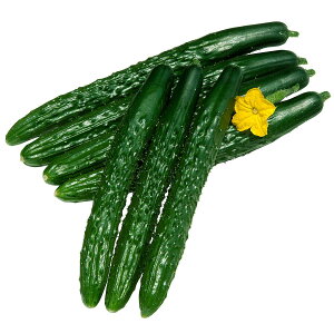 e c JlRz l LE 350 JlRc LE  LE q    q LE̎ LE̎q ؂̎ ؂̎q