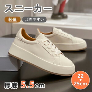 Xj[J[ fB[X Y zCg gAbv JWA ʋCQ Cq[V[Y 5.5cmgUP V[Y V[NbgV[Y ʋv   킢 lC C  r