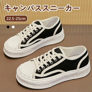 LoX Xj[J[ fB[X S2F ʋCQ y Lk݌v ϖՐ ~ JWA 22.5-25cm V[Y  Vv lC C  r  r KȗSn _炩