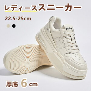 Xj[J[ fB[X S2F x[W ubN gAbv JWA ʋCQ Cq[V[Y 6cmgUP V[Y V[NbgV[Y v  킢 lC C  r 