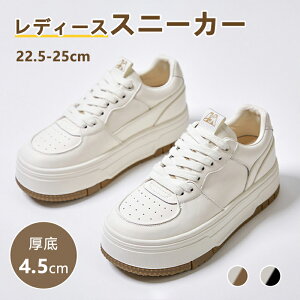 Xj[J[ fB[X S2F x[W ubN gAbv JWA ʋCQ Cq[V[Y 4.5cmgUP V[Y V[NbgV[Y v  킢 lC C  