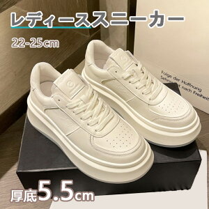 Xj[J[ fB[X x[W ubN gAbv JWA ʋCQ Cq[V[Y 5.5cmgUP V[Y V[NbgV[Y v  킢 lC C  r g