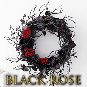 nEB  [X  H ڂ nEB Ǌ|  hA[X t[[X ԗ փ[X Ǌ|t[ L ͋C  i   X 뉀 Be  