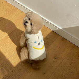  WPbg  ȕR[g p[J [ht ybg R[g xXg H~ Ȃ h g {^^Cv  ^ y EȒP U  m hbNEFA