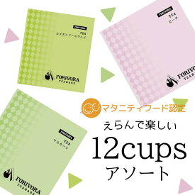 フルーツティー ティーバッグ お試し 12杯 紅茶 ピーチティー マスカットティー ルイボス アールグレイ ティー ティーパック パック フレーバーティー 個包装 飲み比べ アソート 桃 白ぶどう ぶどう マタニティ フード 認定 forivora フォリボラ