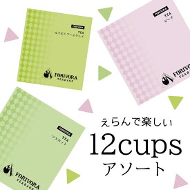 【6/4～ 1000円 ポッキリ】 フルーツティー ティーバッグ お試し 12杯 紅茶 ピーチティー マスカットティー ルイボス アールグレイ ティー ティーパック パック フレーバーティー 個包装 飲み比べ アソート 桃 白ぶどう ぶどう マタニティ フード 認定 forivora フォリボラ