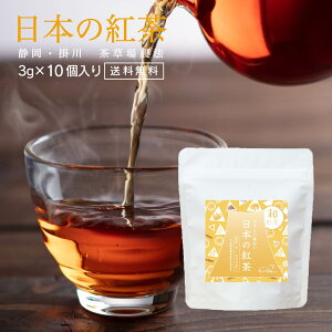 { g ag eB[obO 3g × 10 g É | Y eB[pbN eB[obN ׂɂӂ Ԃ Mtg Y {Y  Y |쒃  30g Hɂ  for