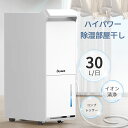 【8000円クーポン ユーザー大絶賛の除湿力】除湿機 コンプレッサー 大型 連続排水 30L/日 衣類乾燥除湿機 パワフル 梅雨 除湿器 大容量 業務用 コンパクト ホース付き 省エネ 強力除湿 おしゃれ 空気清浄 マイナスイオン 部屋干し 衣類乾燥 室内 除湿 乾燥機 ハイパワー 結露
