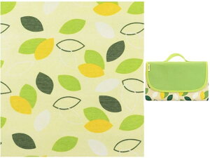 ISEFUJI W[V[g sNjbN}bg 唻  h ܂ 200×200cm 6~8lp  ^ Ԍ Lv AEghA