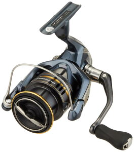 V}m(SHIMANO) XsjO[ 21 AeOe