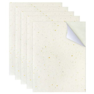 q CV[ a V[ A4TCY 5 CNWFbgvgΉ a XebJ[ x  炫ՂՂ