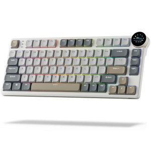 RK ROYAL KLUDGE N80 JjJL[{[h (X}[gfBXvCƃmut)Agbv}Eg 75% CX JjJL[{[h BT/2.4G/USB-CAzbgXbv\A\tgEFAT|[gA80