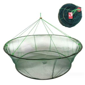 Asdays   d|  p lbg ߊl   ނ ܂݉\