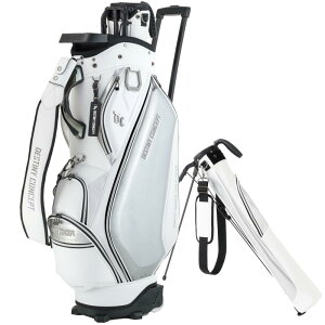 [fBXeBj[RZvg]DESTINY CONCEPT fA LfBobO DC-X15B DUAL CASTER ZtX^hNuP[X  LX^[t