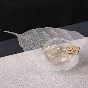 eB[Xg[i[ VRBodhit g  th IV eB[pi Lb`pi