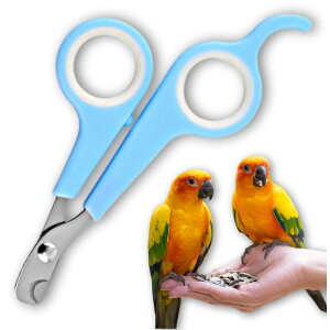 Leap Raupe CR  ybg nX^[ L   e ܐ؂ ܂ ͂