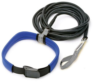 Soltec]swim(\ebN) j g[jO`[u OxgXC_[