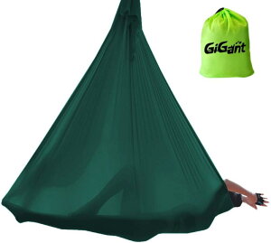 (MOAg) GiGant GAAK p 5m×2.8m nbN P 󒆃K d GNTTCY GA K