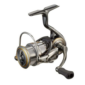 _C(DAIWA) XsjO[ 21 rAX GAeB LT (2021Nf)