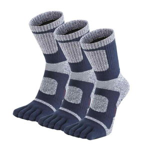 [WIOIW] ܖ{w\bNX Y C 5{w \bNX NbV oRp AEghAEFA X|[c ^In v j gbLO N[ 3Zbg