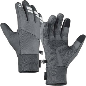 RAISME h TCNO[u X}zΉ ]Ԏ N Y h H ~ ˃fUC H t ~ [hoCN g TCNO AEghA ʋΒʊw jO