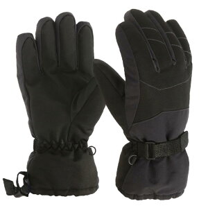 XL[O[u LbY  h 6-11Ύq AEghA h ~p ۉ h ~ߕt V  ̎q j̎q H ϖ ʊw Xm[{[h oR ubN