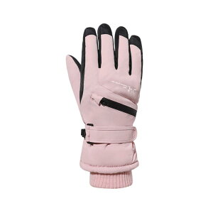 HASECIAL fB[X O[u  ^b`plΉ ~ XL[ Xm{ h AEghA oR TCNO oCN xgt