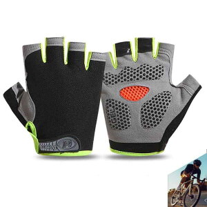 TCNO[u  ]  wȂ w؂(pbhՌz/bVʋC/3D/ϖՐ/~) TCNOO[u [hoCN Lk Y fB[X jp [sA