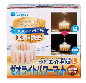 ���� �G�C�g�R�AL �[�I���C�g�p���[�}�b�g - - -