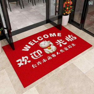 ���փ}�b�g �h�A�p �ω��� �ȒP������� �V���N�� �D���Ƃ� �y���Ƃ� �X�� �z�e�� ���p �h�� PVC�f�� ���` �􉽊w�� �� ���F �u���[ ����Ȗ� ���փX�y�[�X ���p�ꏊ ����\ 40x60cm 50x80cm 60x90c